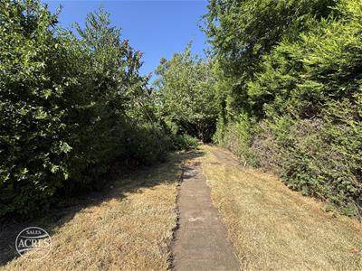 Picture 25